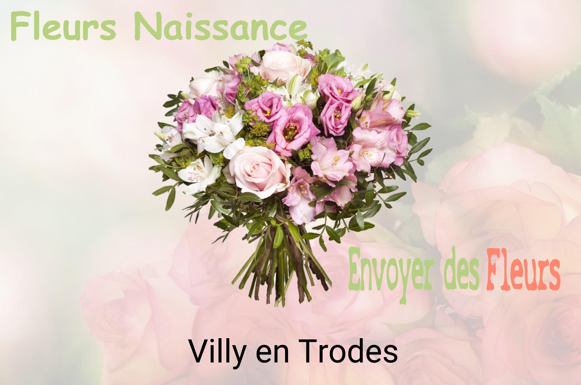 Bouquet de fleurs de naissance livré à Villy-en-Trodes